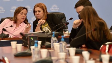 La diputada oficialista Cecilia Moreau es la titular de la Comisión de Legislación General. Foto Télam. 