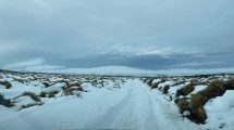 Imagen de Rutas intransitables en Neuquén por acumulación de nieve