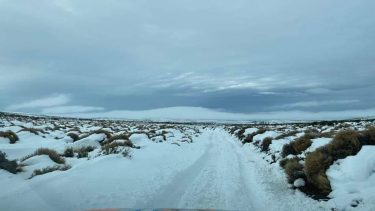 Desde el organismo solicitan revisar el estado de las rutas y del clima, antes de emprender un viaje. Foto (Archivo)