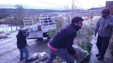 Personal del municipio de Comallo recorre los barrios entregando leña a familias que no cuentan con la red de gas. Foto: gentileza. 