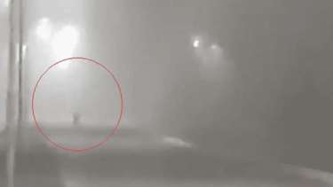 Testigos señalan que podría tratarse de un duende, pero otros indican que sería un animal.-