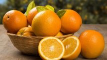 Imagen de Naranjas: cómo hacer licor y cáscaras confitadas
