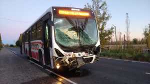 Fuerte choque: un Ko Ko impactó contra un caballo en la Ruta 65 entre Roca y Allen