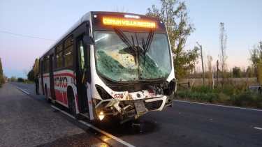 Así quedó el colectivo tras impactar con un caballo en la Ruta Chica, Foto: Alejandro Carnevale.