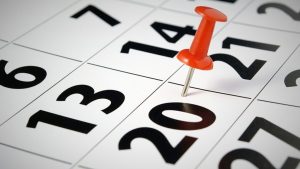 ANSES: cambia el calendario de pagos por el feriado, cuándo cobro