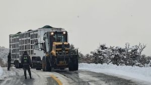 Ola Polar: así están las principales rutas de Neuquén