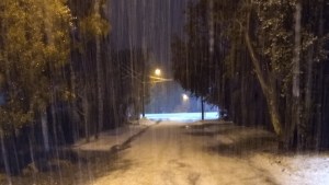 La nieve dejó sin luz a miles de usuarios en Bariloche y Dina Huapi