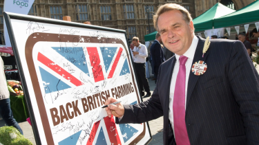 El diputado admitió haber visto videos pornográficos durante una sesión del Parlamento.