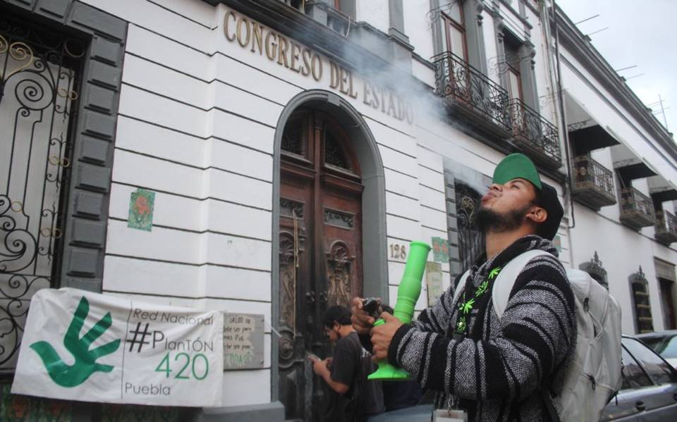 Hoy es el Día de la Marihuana y el significado del «420» volvió a