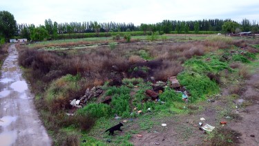 La UNCo tendrá plazo hasta fin de año para comenzar a construir su edificio propio en Regina. (Foto Néstor Salas)