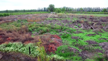Otorgan más tiempo para que la Universidad del Comahue construya su edificio en Regina