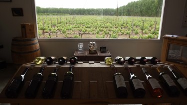 El arte de hacer un vino de calidad en la bodega más emblemática de la Patagonia, en Roca