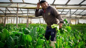 Acciones inmediatas para mitigar el cambio climático