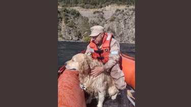 Tras el rescate en San Martín de los Andes, el perro  fue entregado a su dueño. Foto: Gentileza @PrefecturaNaval