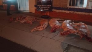 Decomisaron tres cargamentos ilegales de carne durante el fin de semana en Roca
