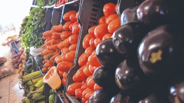 El tomate triplicó su precio en comparación  con el año pasado. 