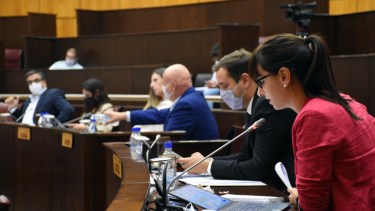 Leticia Esteves y César Gass fueron quienes fundaron los votos negativos de JxC. Foto Matías Subat.