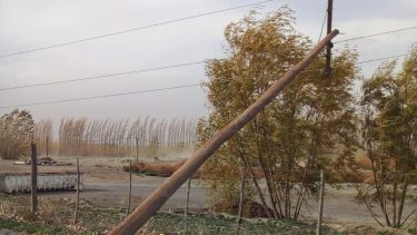 El viento sigue causando problemas en Neuquén, desde que comenzó el alerta este fin de semana. 