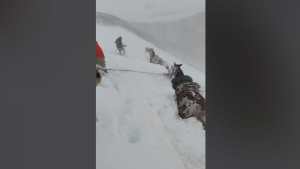 Video: Crianceros caminan por la nieve en el norte neuquino para encontrar a sus animales