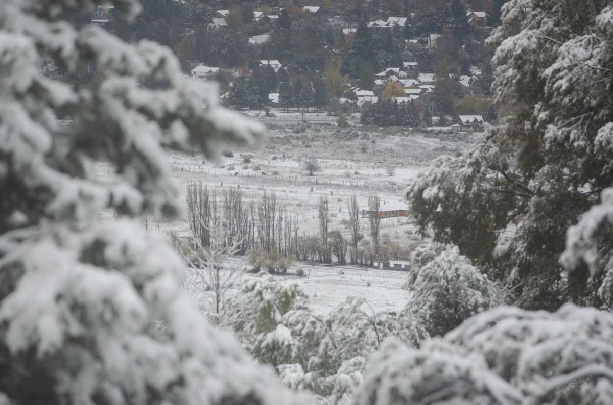 Las intensas nevadas que se sucedieron esta madrugada en la región de los Siete Lagos afectaron el estado de las rutas en San Martín de los Andes. Fotos Patricio Rodriguez.