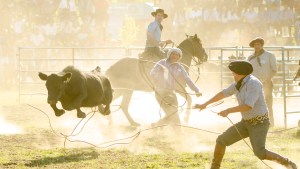 Activistas repudiaron el Campeonato de  Jineteada de Neuquén