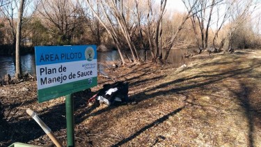 Con fondos del Ministerio de Ciencia nacional, el plan será el resultado de la colaboración entre investigadores científicos, técnicos de las administraciones municipal, provincial y nacional, y miembros de la Asamblea Socioambiental de Junín de los Andes