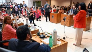 El Concejo Deliberante aprobó por unanimidad el proyecto «Alta Viedma»