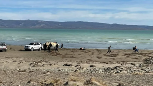 Sigue la búsqueda del chico que desapareció en el Lago Musters de Chubut