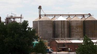 Molino Cañuelas es uno de los grandes actores del sector molinero sancionados. Foto: gentileza.