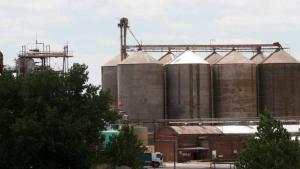 Precios de la harina: aplican multas a empresas por más de $445 millones por cartelización