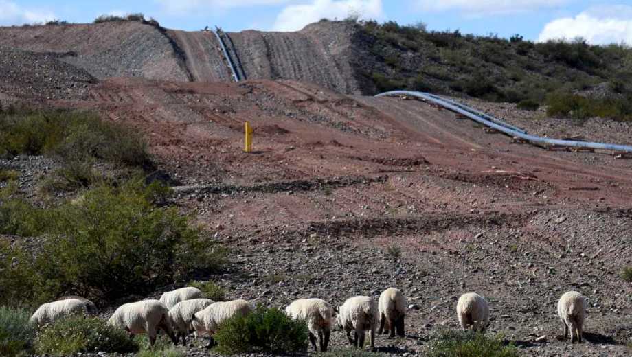 El objetivo de la iniciativa es abastecer las exportaciones de gas natural licuado (GNL) del proyecto que impulsa Southern Energy. (Foto: archivo Matías Subat)