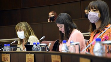 La legisladora Villone fue quien salió en defensa del intendente Carlos Saloniti. Foto: archivo Matías Subat.