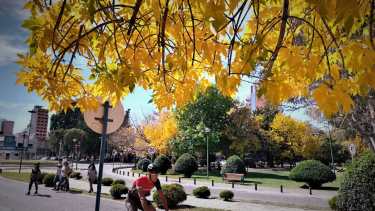 Otoño en Neuquén. Fotos Yamil Regules