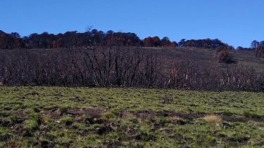 Los trabajos se circunscribieron a una zona y se culminará cuando empiece a nevar (Aluminé Televisión)