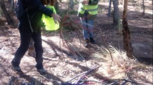 Se apagó Parque Norte: se robaron los cables subterráneos de energía