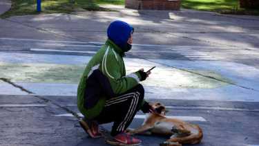 Invitan a un abrazo simbólico en Roca para pedir por un programa de contención para animales