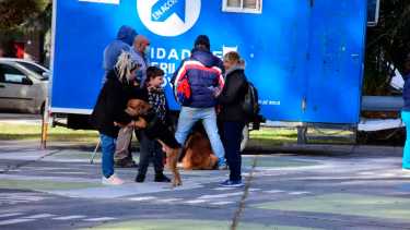 El quirófano realizó castraciones durante esta mañana en plaza San Martín. Foto César Izza