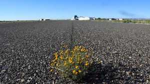 La paradoja de Río Negro: comprar un avión y tener cada vez menos aeropuertos para usarlo