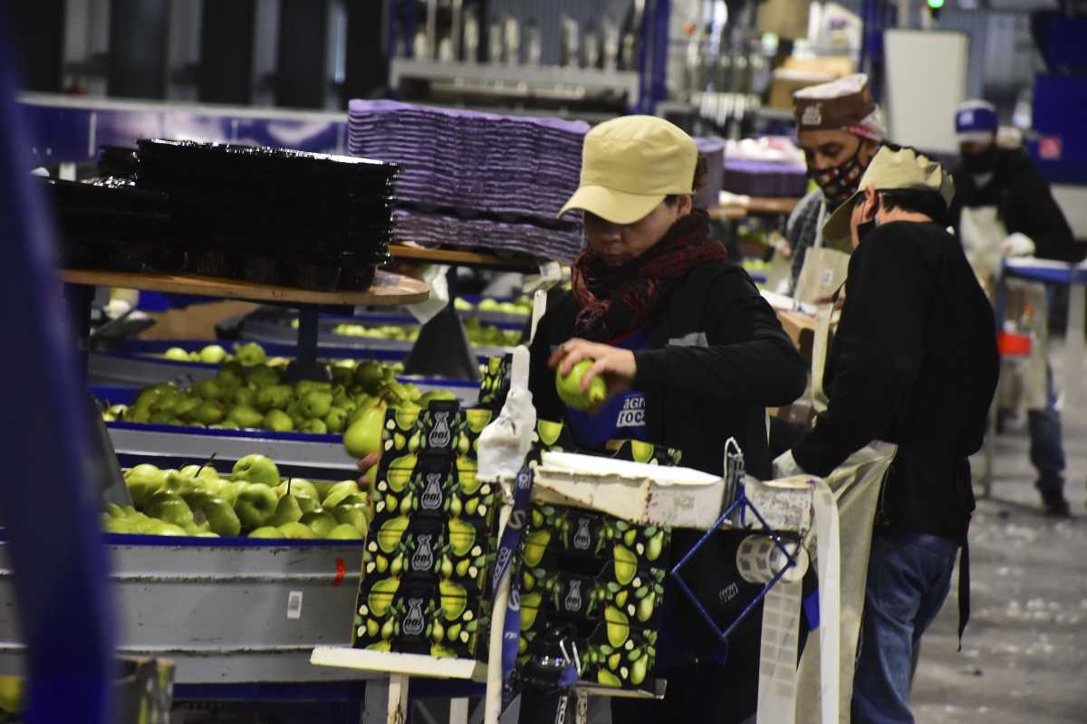 Los trabajadores de los empaques de fruta acordaron la paritaria de la temporada. Foto: Archivo