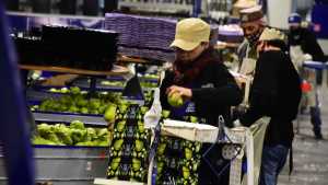 Acuerdo salarial para la Fruta: un embalador tendrá un sueldo bruto de un millón de pesos en marzo