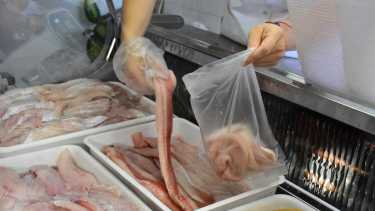 Aumentarán los controles en Cipolletti a partir de esta semana. Foto: Archivo.