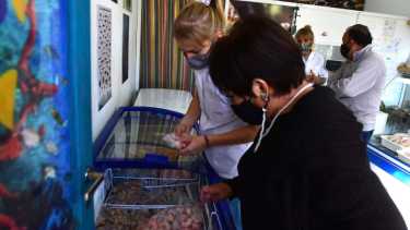 13-04-22 roca pescaderia venta semana santa