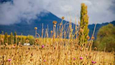 Otoño en el lago Lácar, San Martín de los Andes, 2022. Foto Patricio Rodríguez. 