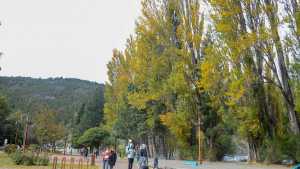 Pronóstico del tiempo: la calidez del otoño sigue presente este jueves