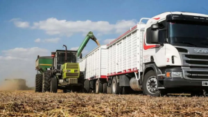 Transportistas de granos iniciaron un paro nacional por la actualización de tarifas