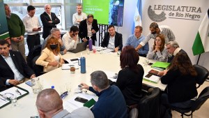 Hidrógeno Verde: el proyecto se debate hoy en la Legislatura de Río Negro