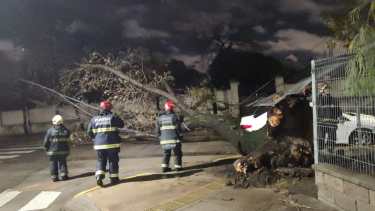 Las ráfagas de viento durante la madrugada alcanzaron unos 80 kilómetros. Cayeron dos postes. Hubo más de 300 llamados al 103 y el 911. Foto gentileza GCBA. 