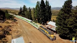 Tren Patagónico con más bandejas para autos, frecuencias y camarotes, marcha hacia el invierno