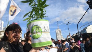 Marihuana: marchaban contra la criminalización del cultivo y sus usuarios