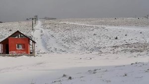 Temporada 2022: ¿Cuánto sale ir a esquiar al Cerro Batea Mahuida en Villa Pehuenia?